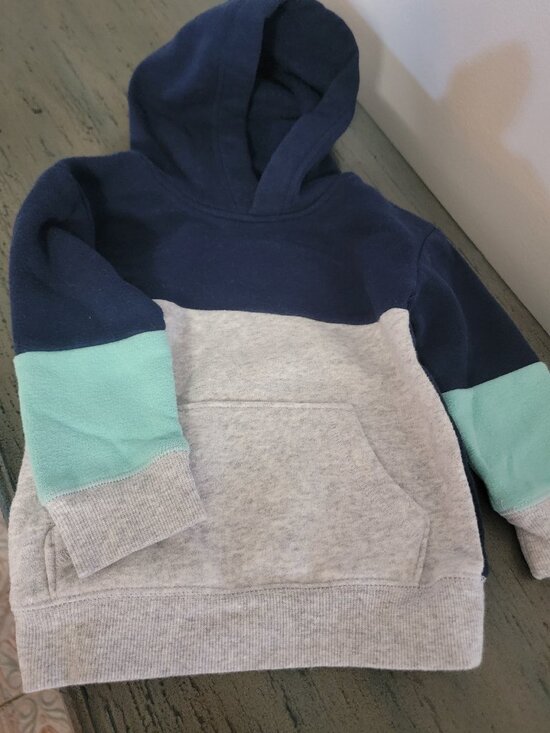 Toddler Hooded Sweatshirt Bundle! - Picture 10 of 11